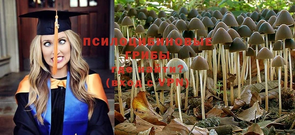 соль ск Иноземцево