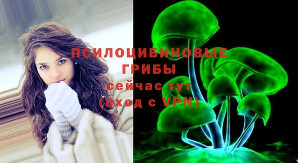 соль ск Иноземцево