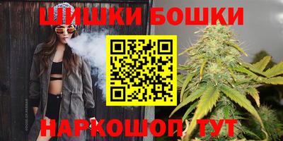 СК Волгодонск