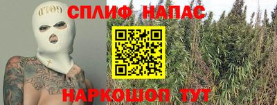 СК Волгодонск