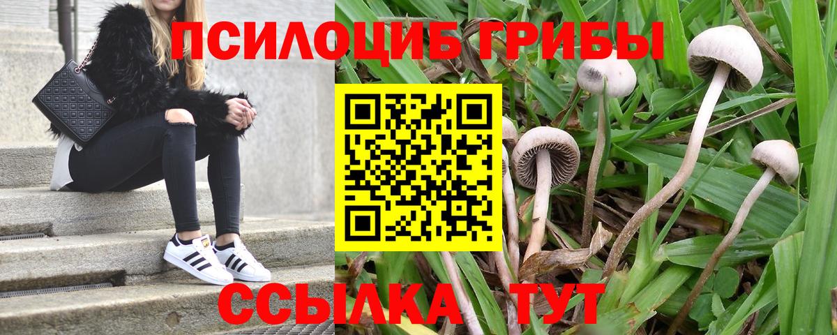 Меф  Молли  Бошки Шишки  А ПВП  Плюхи  Вход с VPN  Каменск-Уральский  Марихуана  COCAIN 