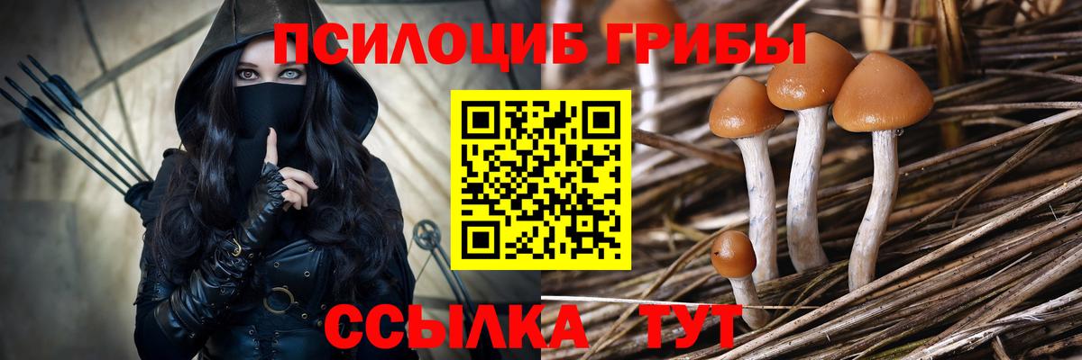Псилоцибиновые грибы Magic Shrooms Каменск-Уральский